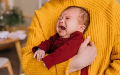 el brote de crecimiento de los 3 meses