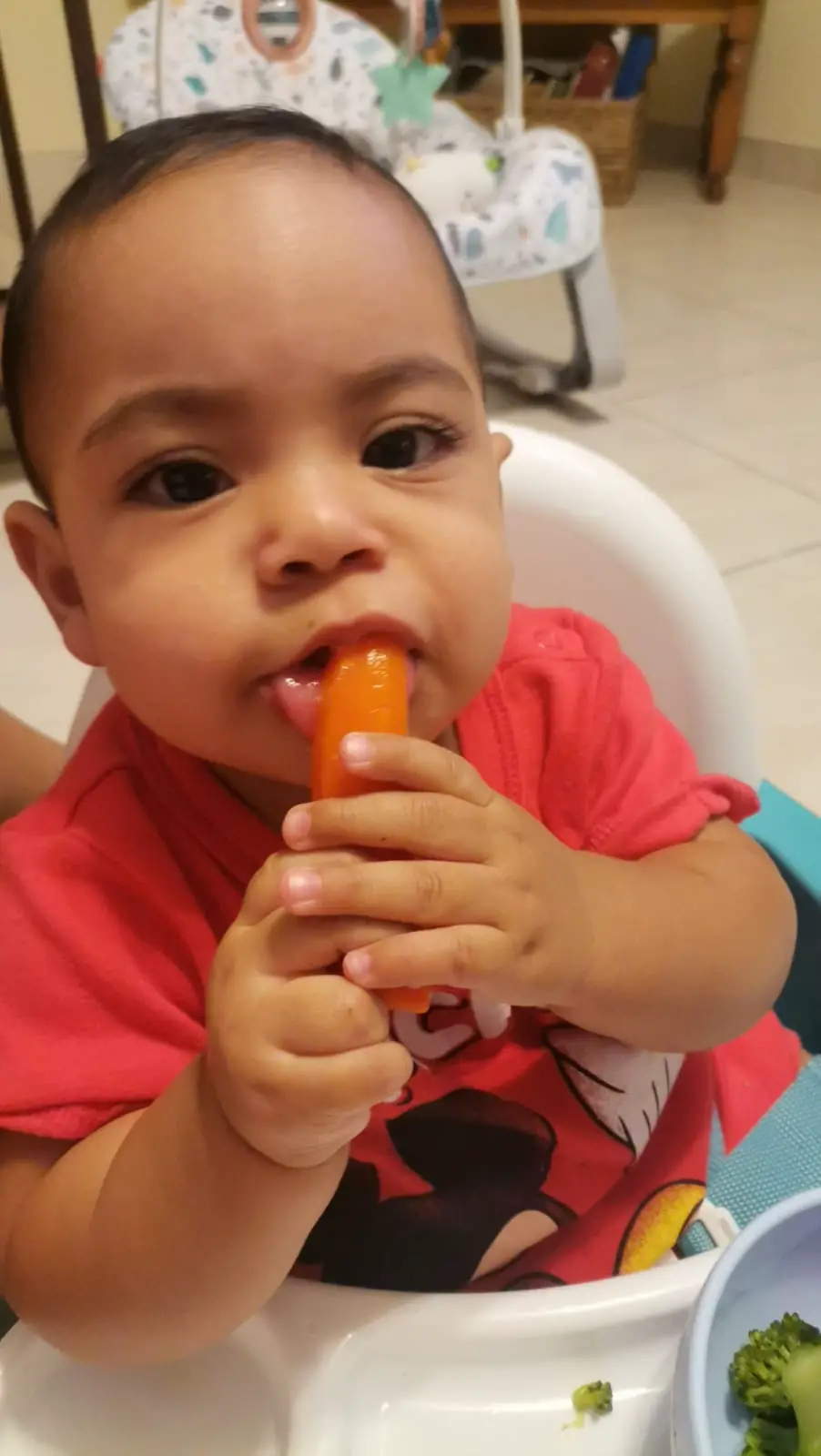 Introducción a la Alimentación Complementaria: Consejos para padres de bebés de 6 meses 1 WhatsApp Image 2023 08 08 at 3.34.24 PM