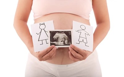 Quinto mes de embarazo: desarrollo y descrubrimiento del sexo de tu bebé