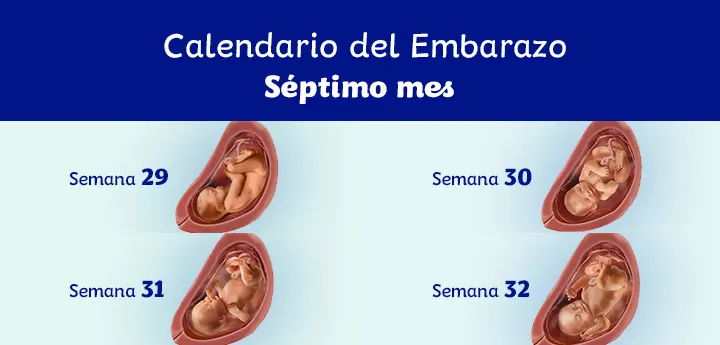 Séptimo Mes de Embarazo: Preparándote para la Llegada del Bebé