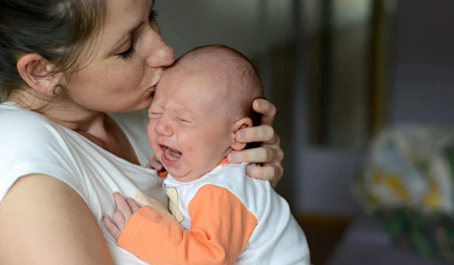 alimentándose llorando un brote de crecimiento